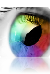 Design at Klick Solutions